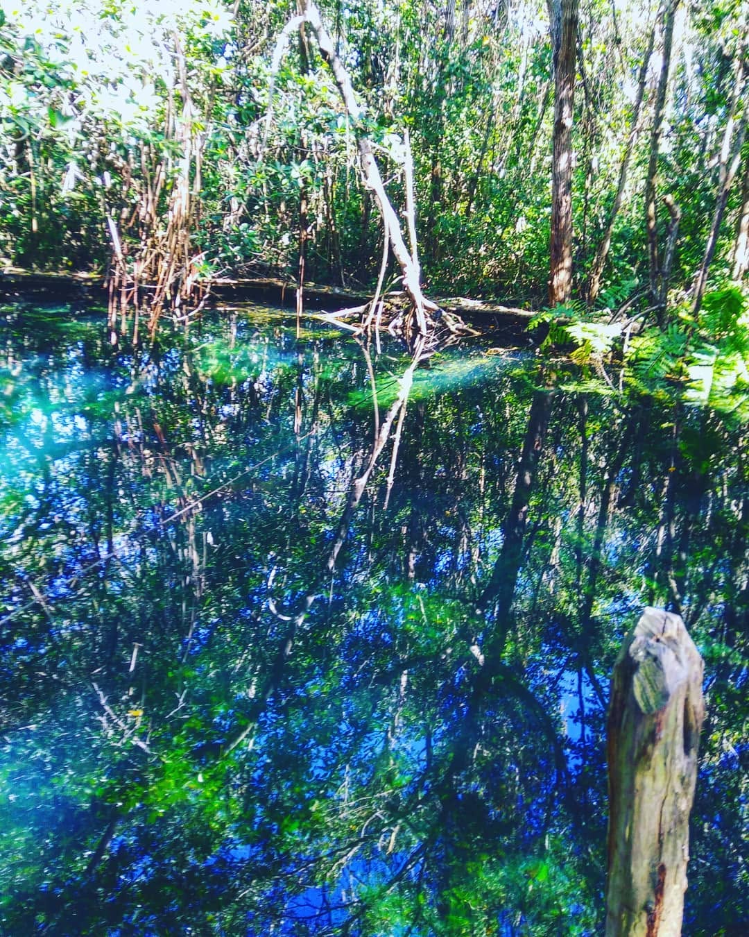 Cenote Elepetén