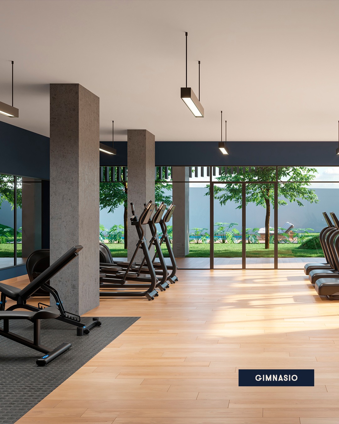 Gimnasio